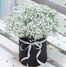 Цветочная композиция из Гипсофила в шляпной коробке #REPLACE_PRED# Первомайский