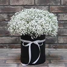 Цветочная композиция из Гипсофила в шляпной коробке в Первомайский