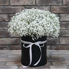 Цветочная композиция из Гипсофила в шляпной коробке в Первомайский