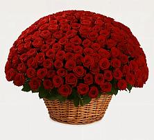 Премиум букет из: Розы #REPLACE_PRED# Первомайский