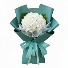 Букет цветов из:  Гортензия в Первомайский